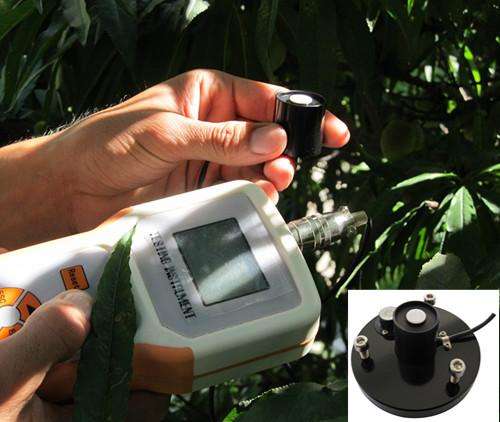 葉綠素熒光與光合有效輻射哪家好