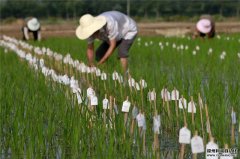 農(nóng)業(yè)氣象觀測儀系統(tǒng)特點都有哪些