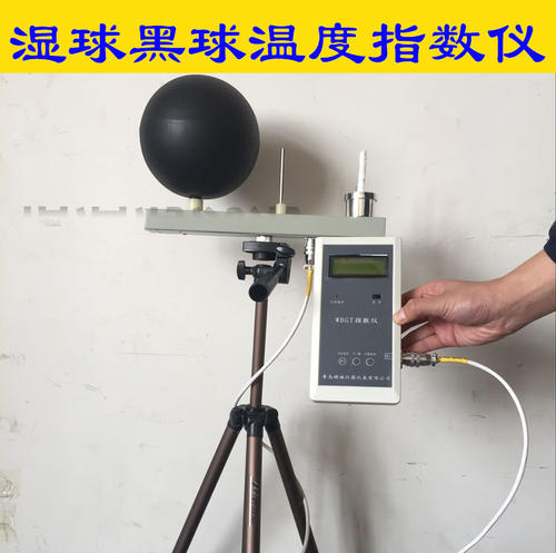 ly 09黑球濕球溫度計(jì)品牌